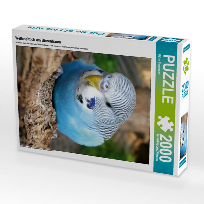 Perruche sur un poirier - Puzzle photo CALVENDO 
