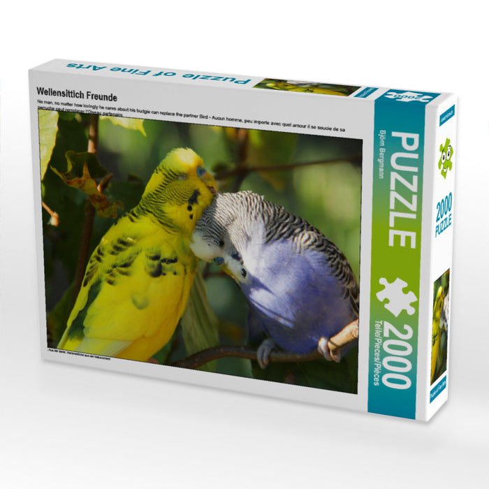 Wellensittich Freunde 2000 Teile Puzzle quer - CALVENDO Foto-Puzzle'