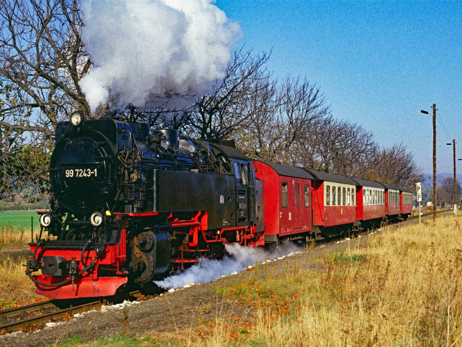 Dampflok der Harzer Schmalspurbahnen 1991 am Hp Nordhausen Krimderode - CALVENDO Foto-Puzzle'