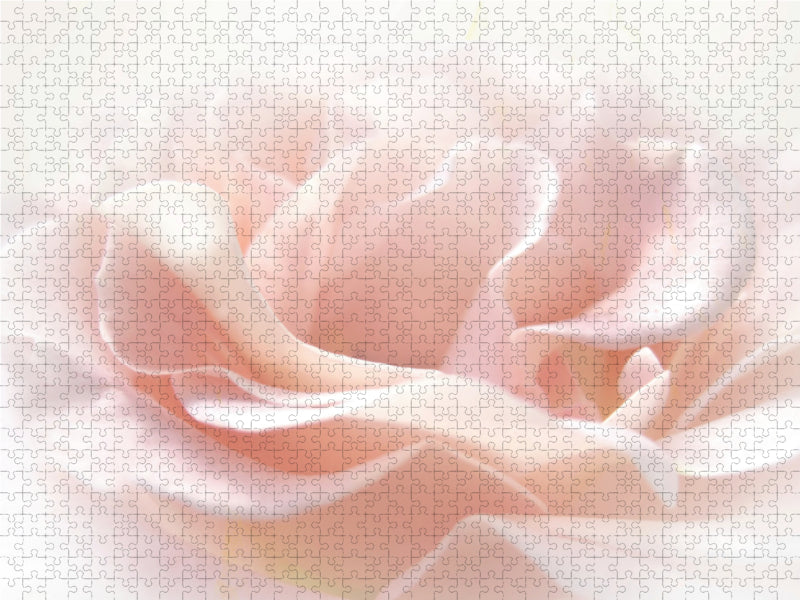 Die rosa Rose 2000 Teile Puzzle quer - CALVENDO Foto-Puzzle'