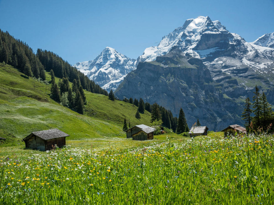 Alphütten mit Mönch, Berner Oberland nahe Birg, Schweiz - CALVENDO Foto-Puzzle'