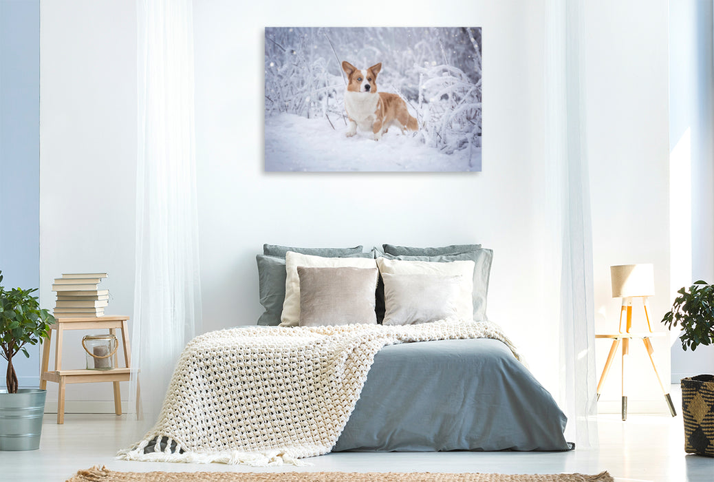 Premium Textil-Leinwand Premium Textil-Leinwand 120 cm x 80 cm quer Welsh Corgi im Schnee