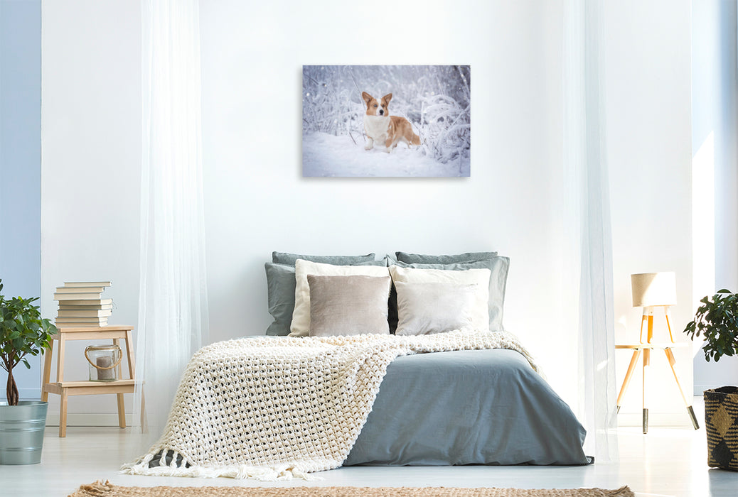 Premium Textil-Leinwand Premium Textil-Leinwand 120 cm x 80 cm quer Welsh Corgi im Schnee