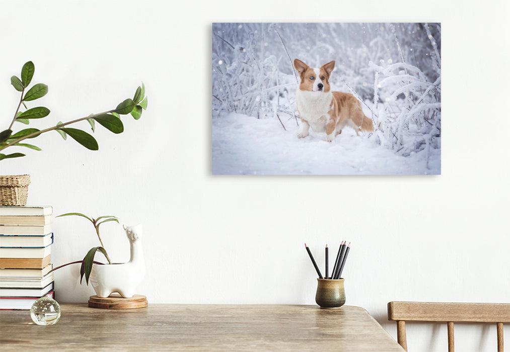 Premium Textil-Leinwand Premium Textil-Leinwand 120 cm x 80 cm quer Welsh Corgi im Schnee