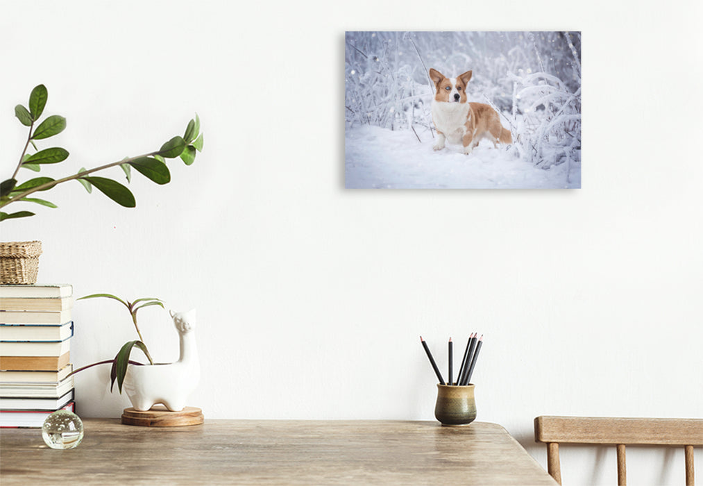 Premium Textil-Leinwand Premium Textil-Leinwand 120 cm x 80 cm quer Welsh Corgi im Schnee