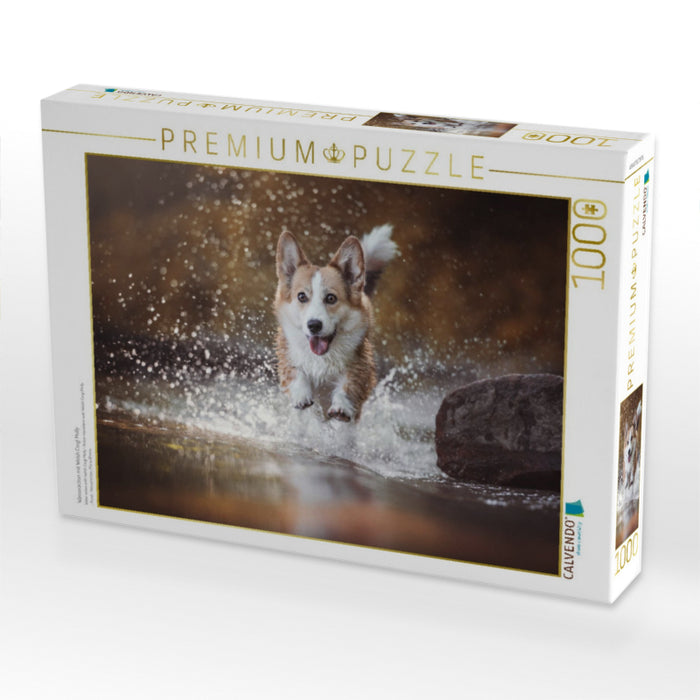 Wasseraction mit Welsh Corgi Molly - CALVENDO Foto-Puzzle'