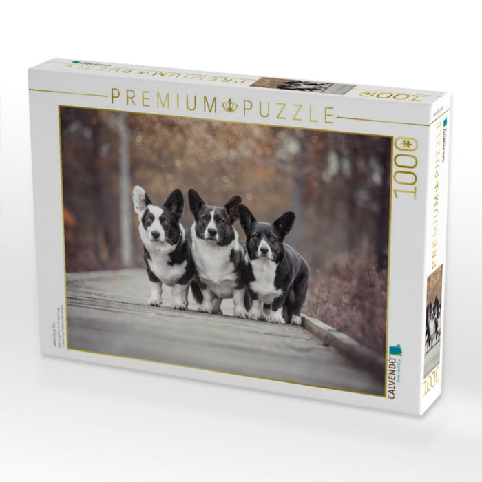 Welsh Corgi Trio - CALVENDO Foto-Puzzle'