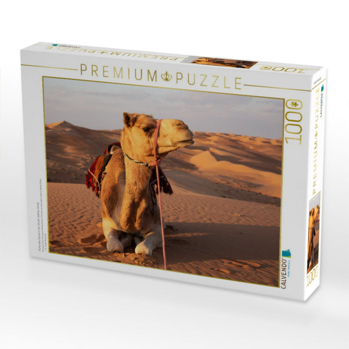 Ruhendes Kamel in der Wüste, Wahiba Sands - CALVENDO Foto-Puzzle'