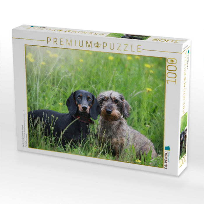 Zambi und Ugo sind beste Freunde - CALVENDO Foto-Puzzle'