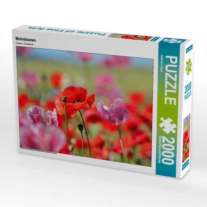 Mohnblumen 2000 Teile Puzzle quer - CALVENDO Foto-Puzzle'