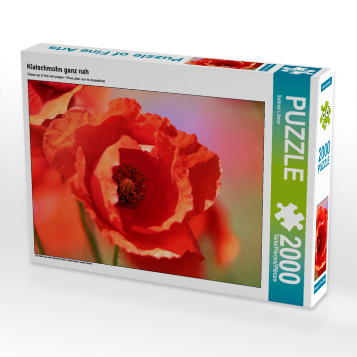 Klatschmohn ganz nah 2000 Teile Puzzle quer - CALVENDO Foto-Puzzle'