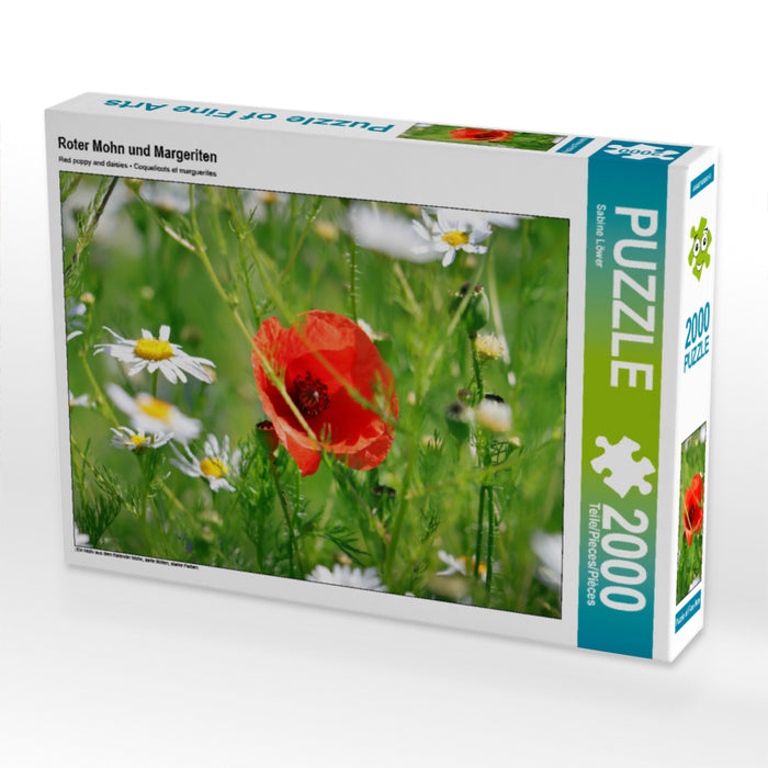 Red poppies and daisies - CALVENDO photo puzzle 