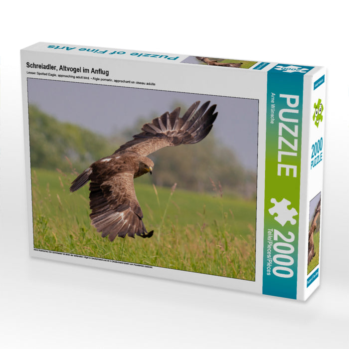 Schreiadler, Altvogel im Anflug 2000 Teile Puzzle quer - CALVENDO Foto-Puzzle'