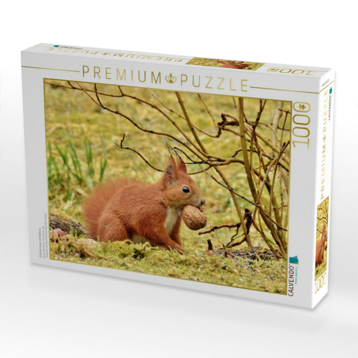 Eichhörnchen mit Walnuss - CALVENDO Foto-Puzzle'