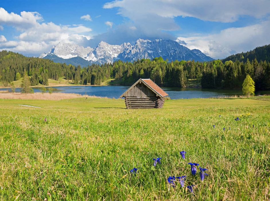 Gentian meadow at Geroldsee - CALVENDO photo puzzle 