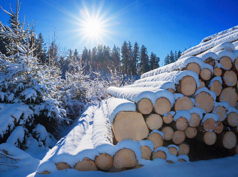 Winter forest - CALVENDO photo puzzle 