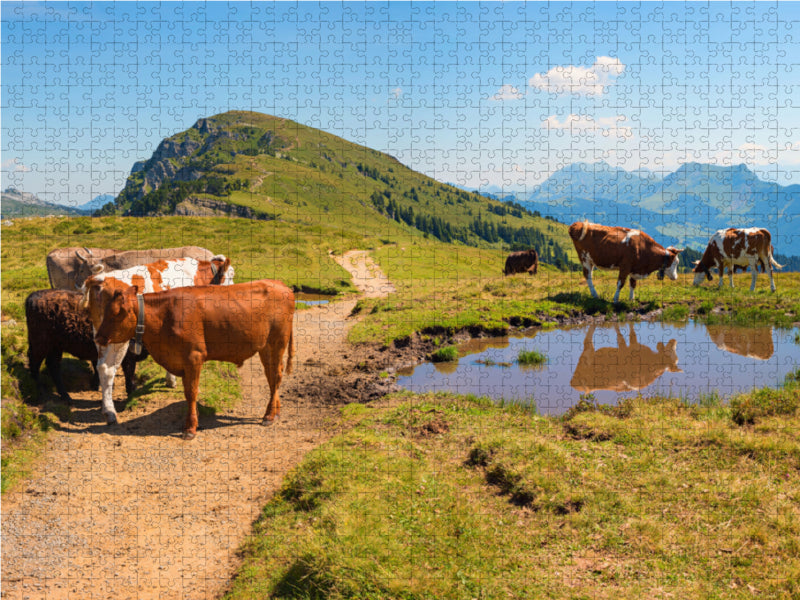 Wanderweg am Niederhorn in den Schweizer Alpen 2000 Teile Puzzle quer - CALVENDO Foto-Puzzle'