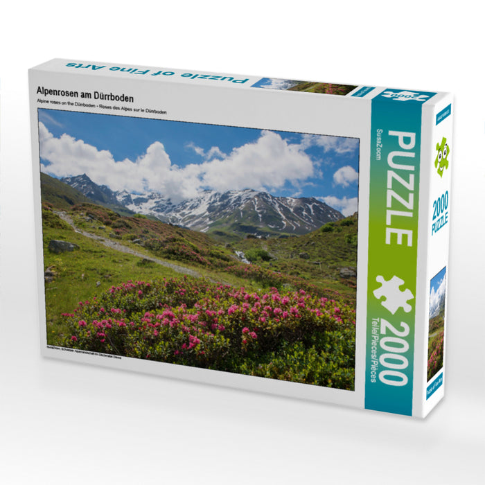Alpenrosen am Dürrboden 2000 Teile Puzzle quer - CALVENDO Foto-Puzzle'