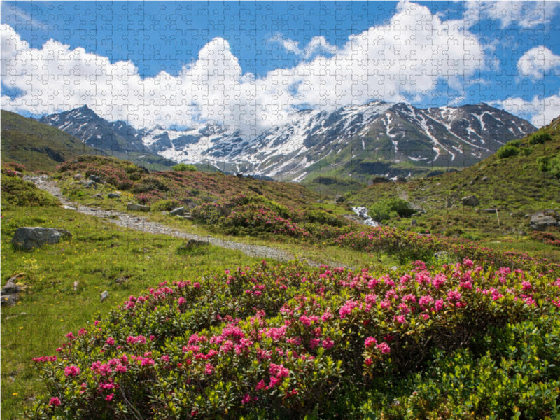 Alpenrosen am Dürrboden 2000 Teile Puzzle quer - CALVENDO Foto-Puzzle'