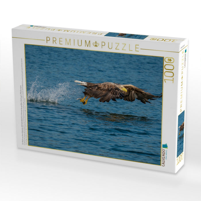 Ein Motiv aus dem Kalender DER SEEADLER Ein Portrait des größten Greifvogels Mitteleuropas - CALVENDO Foto-Puzzle'