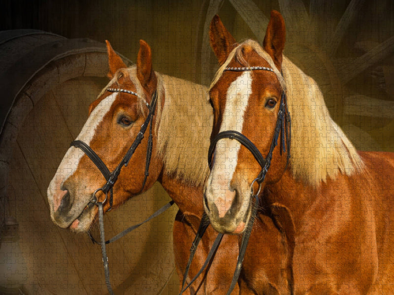Noriker - CALVENDO Foto-Puzzle'