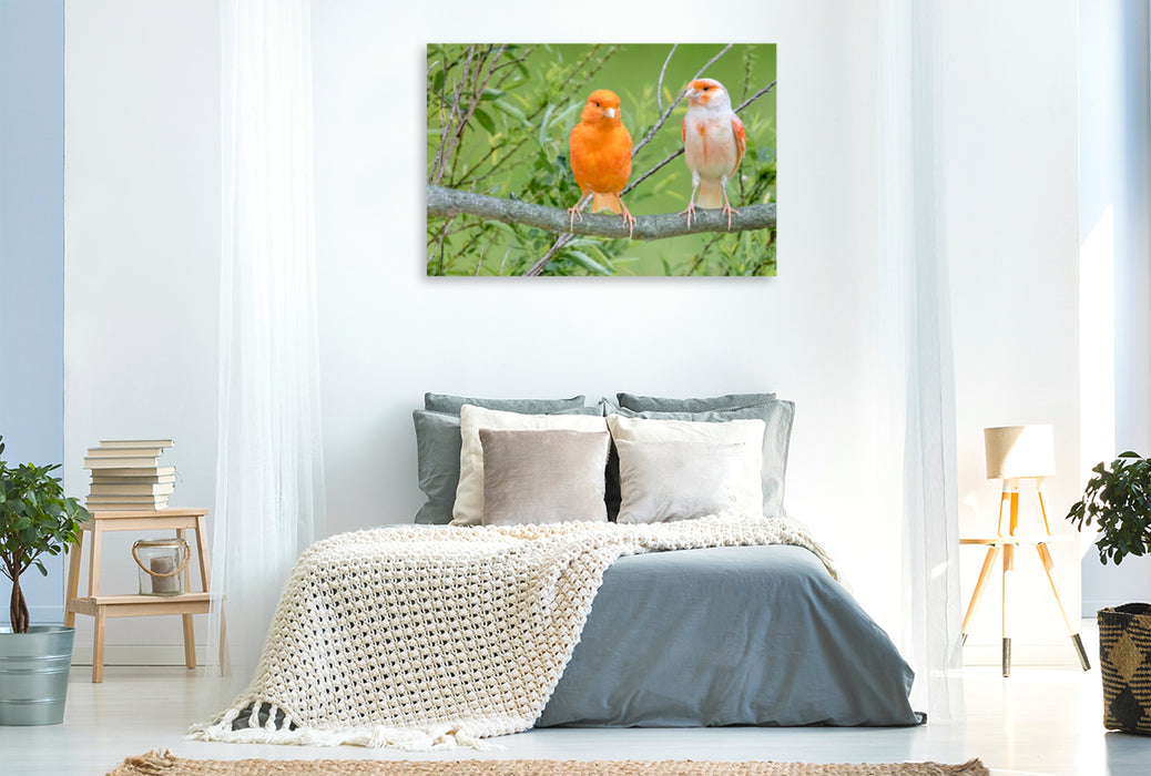 Premium textile canvas Premium textile canvas 120 cm x 80 cm landscape Two canaries 