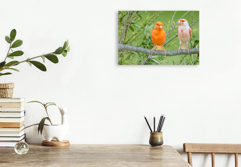 Premium textile canvas Premium textile canvas 120 cm x 80 cm landscape Two canaries 