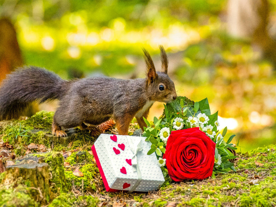 Das Eichhörnchen wünscht alles Gute! - CALVENDO Foto-Puzzle'