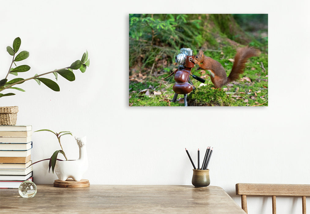 Premium textile canvas Premium textile canvas 120 cm x 80 cm landscape The squirrel photographer 