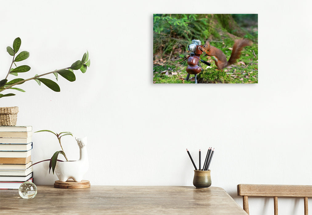 Premium textile canvas Premium textile canvas 120 cm x 80 cm landscape The squirrel photographer 