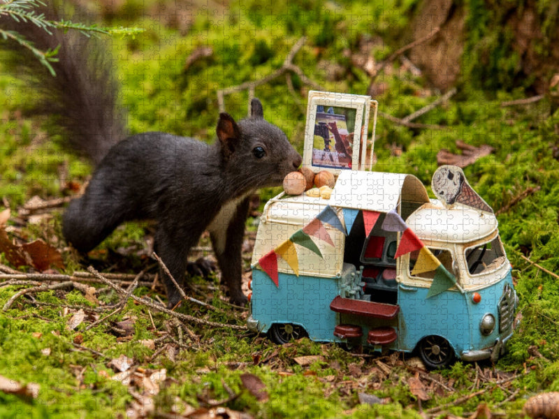 Es gibt Nuss-Eis, liebes Schwarzwald-Eichhörnchen! - CALVENDO Foto-Puzzle'