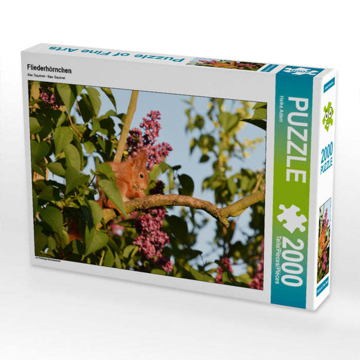 Écureuil lilas - Puzzle photo CALVENDO 