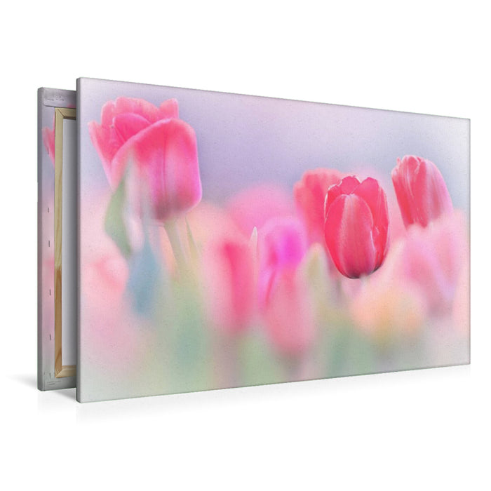 Premium Textil-Leinwand Pastell-Tulpen