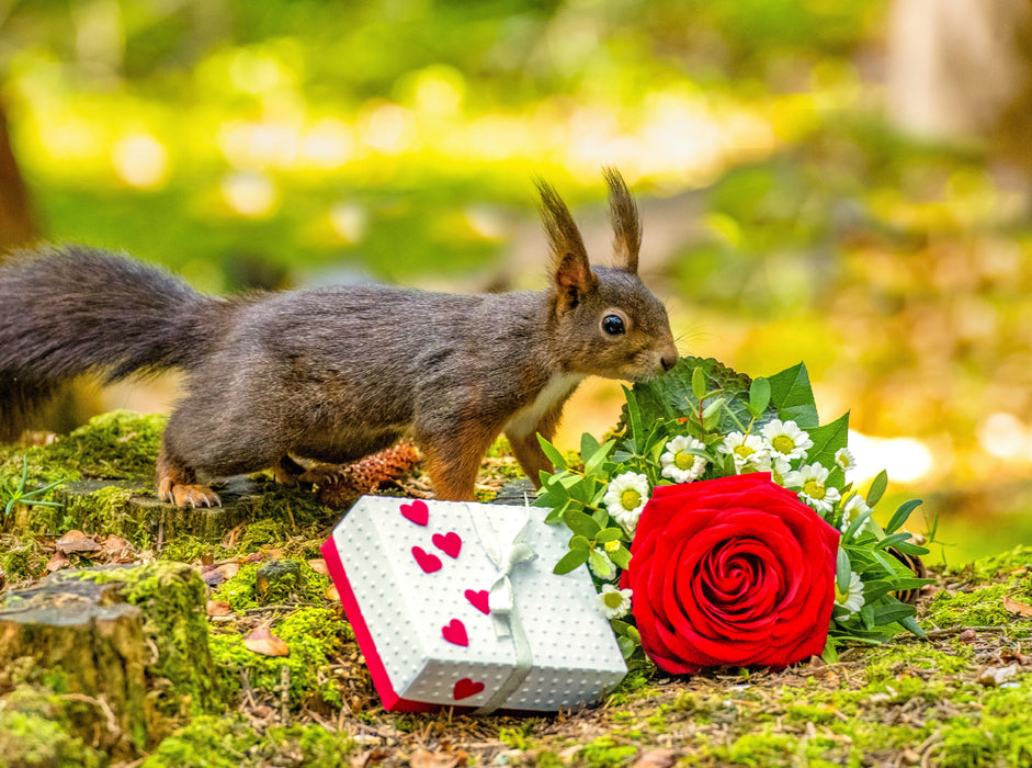 Das Eichhörnchen wünscht alles Gute! 2000 Teile Puzzle quer - CALVENDO Foto-Puzzle'