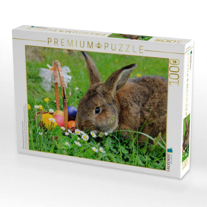 Osterhase Anton beim Ostereier verstecken - CALVENDO Foto-Puzzle'