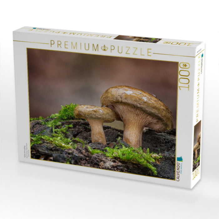 Kahler Krempling - CALVENDO Foto-Puzzle'