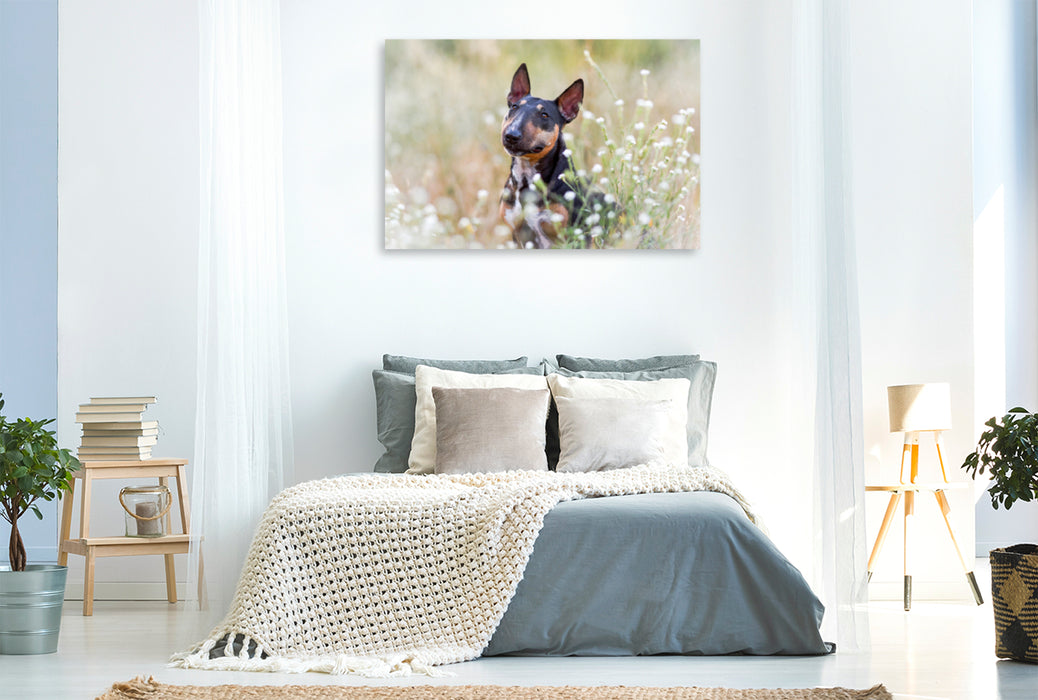 Premium Textil-Leinwand Premium Textil-Leinwand 120 cm x 80 cm quer Bullterrier sitzt in Sommerblümchen