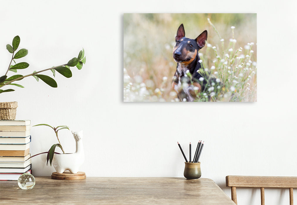 Premium Textil-Leinwand Premium Textil-Leinwand 120 cm x 80 cm quer Bullterrier sitzt in Sommerblümchen