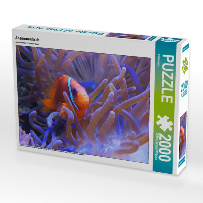 Anemonenfisch 2000 Teile Puzzle quer - CALVENDO Foto-Puzzle'