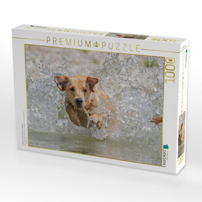 Gelber Labrador Action am Wasser - CALVENDO Foto-Puzzle'