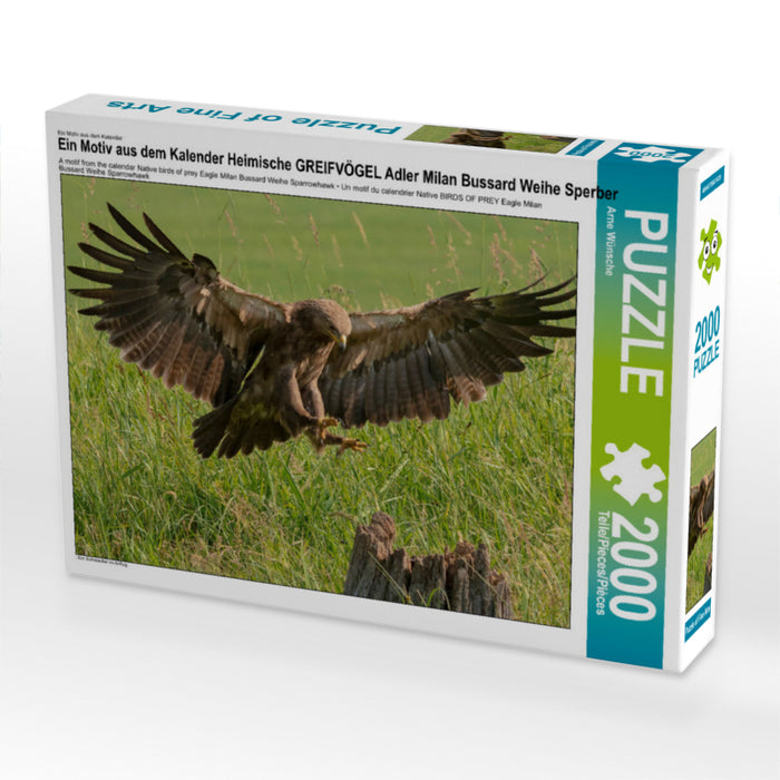 Ein Motiv aus dem Kalender Heimische GREIFVÖGEL Adler Milan Bussard Weihe Sperber 2000 Teile Puzzle quer - CALVENDO Foto-Puzzle'