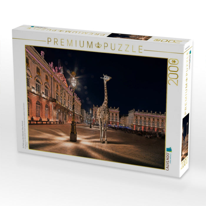 Ein Motiv aus dem Kalender Urban Animals - CALVENDO Foto-Puzzle'