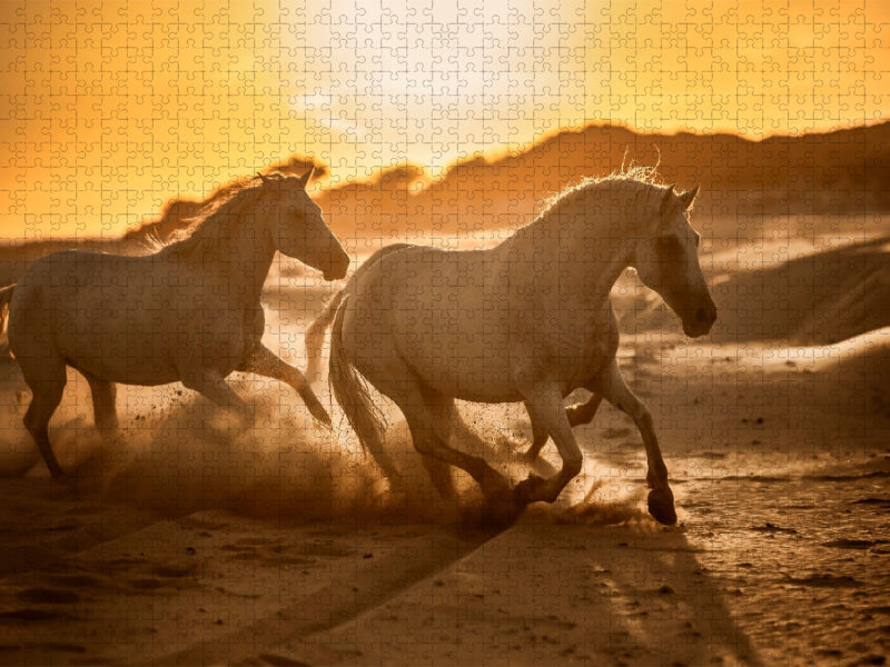 Pferdeparadies Camargue Stutenherde in den Dünen - CALVENDO Foto-Puzzle'