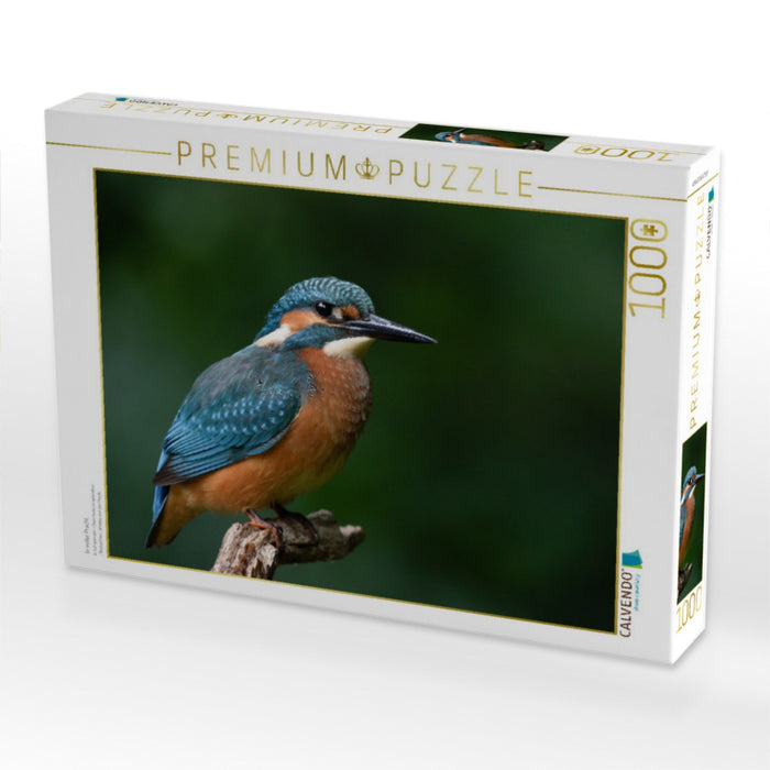 In voller Pracht. - CALVENDO Foto-Puzzle'
