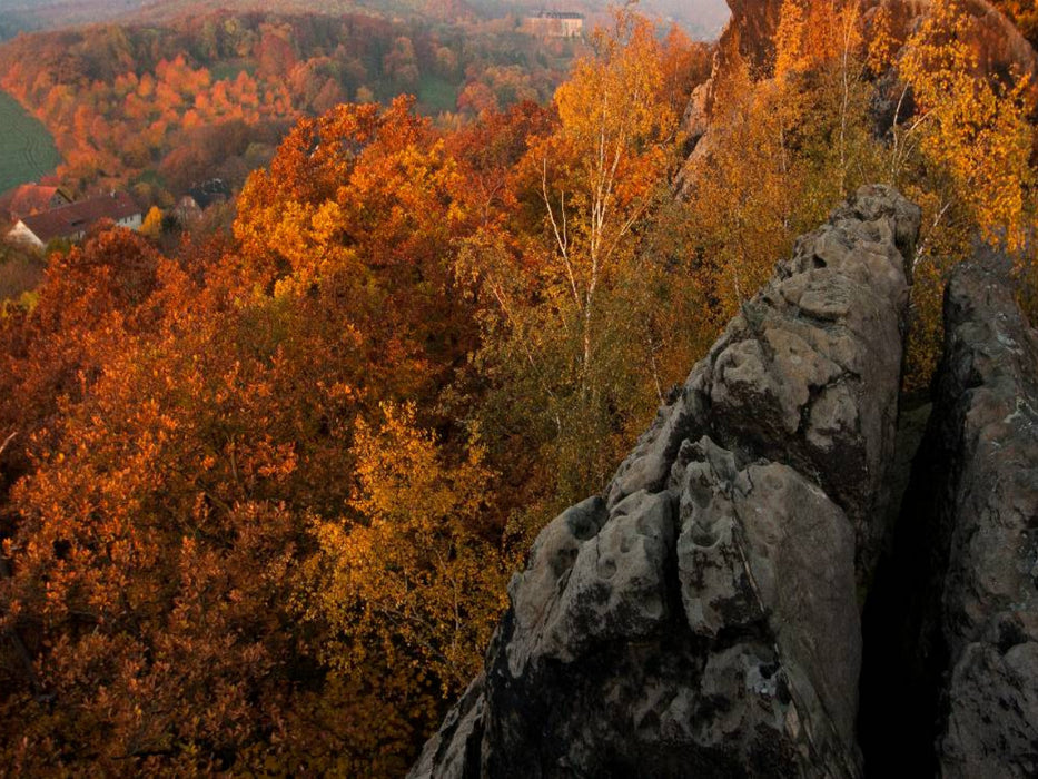 Ein Motiv aus dem Kalender Der Harz, Naturschutzgebiet Teufelsmauer - CALVENDO Foto-Puzzle'
