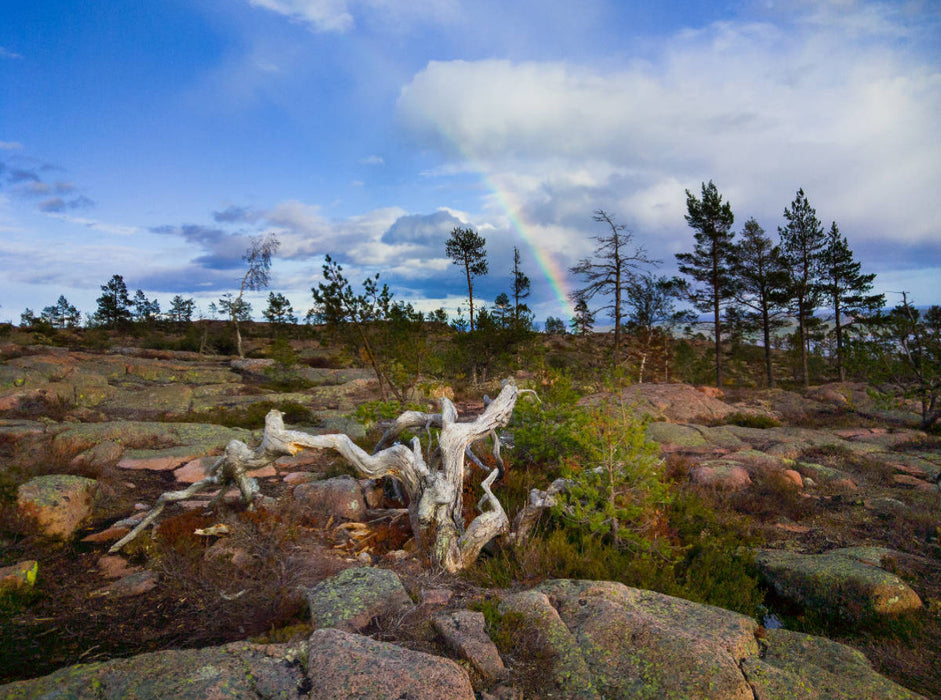 Schweden - Skuleskogen NP. 2000 Teile Puzzle quer - CALVENDO Foto-Puzzle'