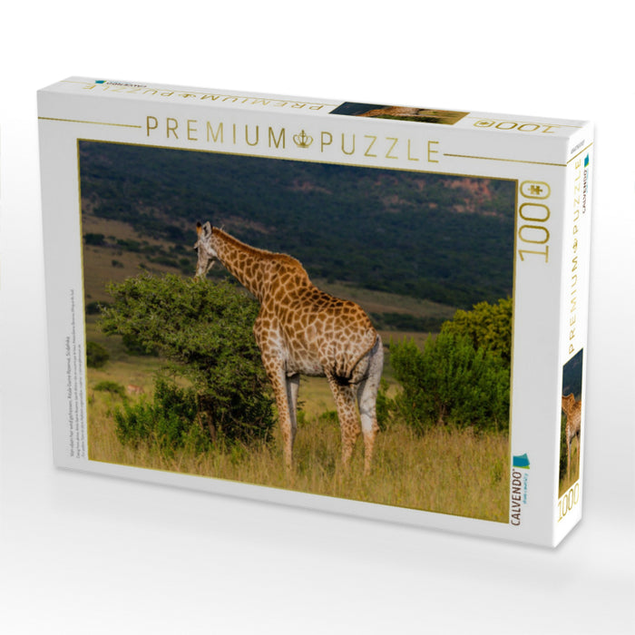 Von oben her wird gefressen, Ihtala Game Reserve, Südafrika - CALVENDO Foto-Puzzle'
