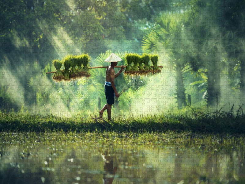Vietnam - Reisbauer mit Reisschößlingen - CALVENDO Foto-Puzzle'