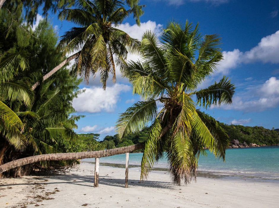 anse volbert, praslin - CALVENDO photo puzzle 