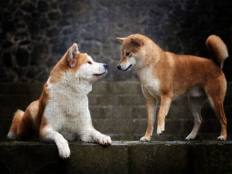 Ein Motiv aus dem Kalender Japans Seelenhunde - CALVENDO Foto-Puzzle'